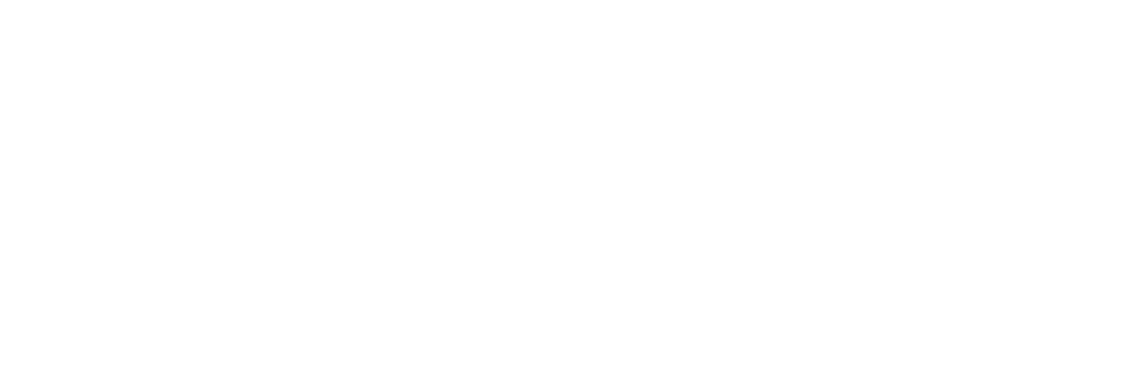 REV Logo White